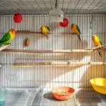 Top 10 Bird Health Tips