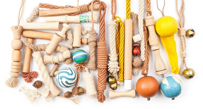 DIY Bird Enrichment Ideas