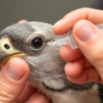 SmallBirdCare