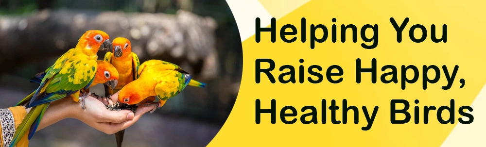 Bird Care 101 – Helping You Raise Happy, Healthy Birds