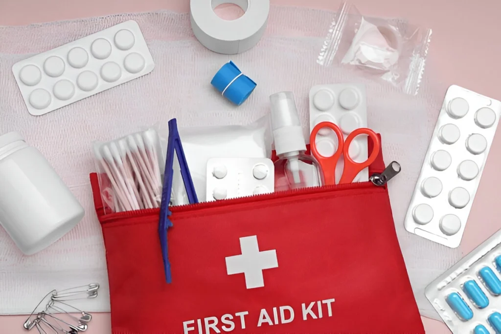 A flat lay of a fully stocked essential bird first aid kit, featuring vet wrap, gauze, antiseptic wipes, tweezers, and a small pet carrier on a clean surface.